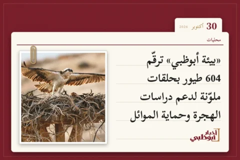 «بيئة أبوظبي» ترقّم 604 طيور بحلقات ملوّنة لدعم دراسات الهجرة وحماية الموائل