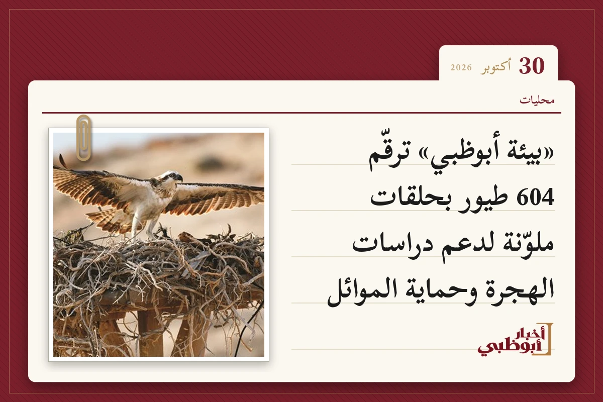«بيئة أبوظبي» ترقّم 604 طيور بحلقات ملوّنة لدعم دراسات الهجرة وحماية الموائل